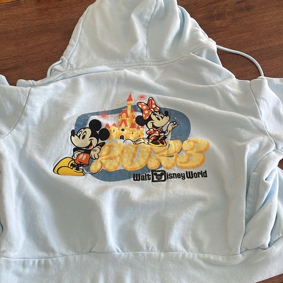 Disney World 2023 embroidered baby blue sweatshirt - Picture 12 of 14